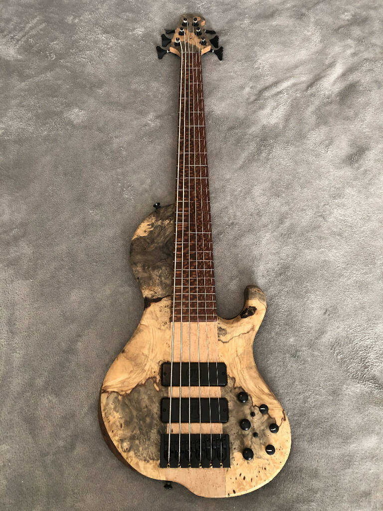 Brady Muckelroy Ensemble Fretless 6 string singlecut