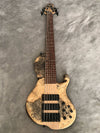 Brady Muckelroy Ensemble Fretless 6 string singlecut