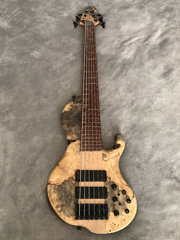 Brady Muckelroy Ensemble Fretless 6 string singlecut