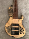 Brady Muckelroy Ensemble Fretless 6 string singlecut